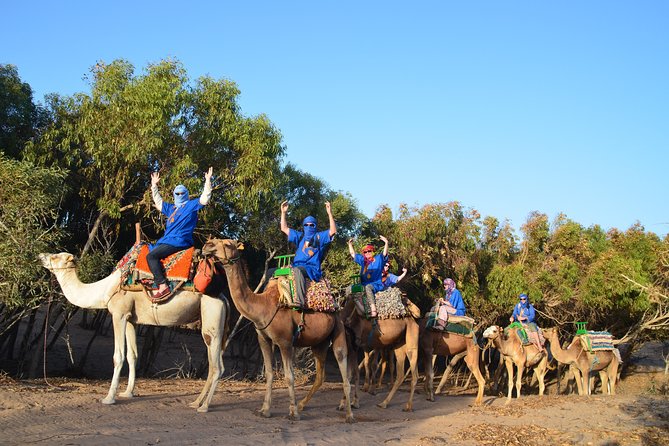 Essaouira 2-Hour Camel Adventure Ride - Key Highlights You Can Plan Around