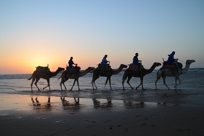 Essaouira 2-Hour Camel Adventure Ride - Essaouira Camel Ride, Real Coastal Route, Real-World Timing