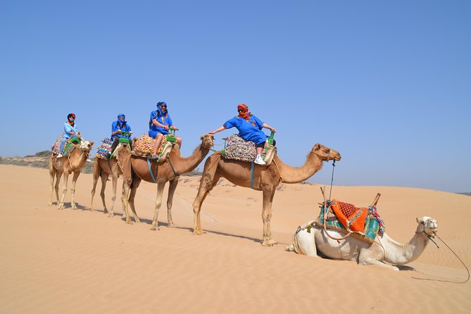 Essaouira 2-Hour Camel Adventure Ride - The First Leg: Moving From the Beach With Mustafa