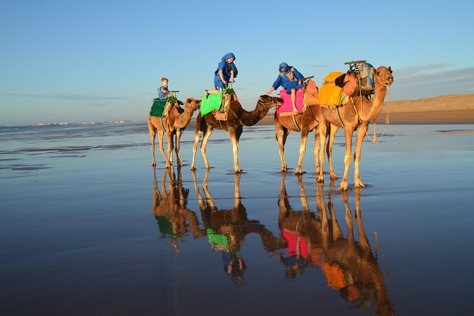 Essaouira 2-Hour Camel Adventure Ride - Portuguese Borj and Dar Soltane Ruins: Short Stops, Real Meaning