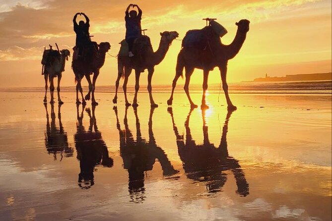 Essaouira 2-Hour Camel Adventure Ride - Clothing That Helps: Shawl and Darâa Loaned for Photos and Comfort