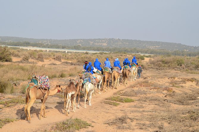 Essaouira 2-Hour Camel Adventure Ride - Sunset Potential and Photo Skills That Actually Help