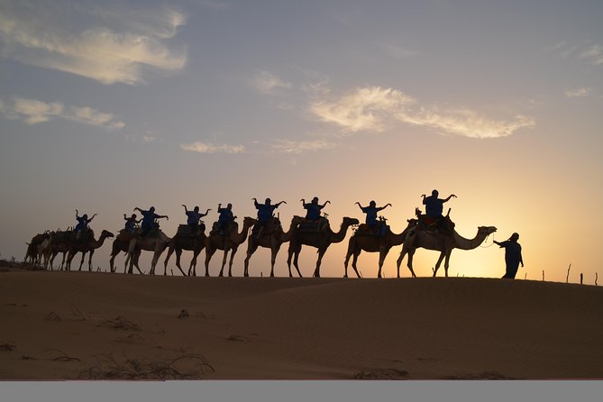 Essaouira 2-Hour Camel Adventure Ride - Camels, Safety Feel, and a Pace That Works for Most People