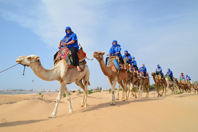 Essaouira 2-Hour Camel Adventure Ride - Where You Start: Bab Marrakech Meets the Camel Adventure