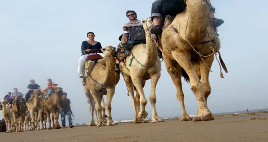 Essaouira: 2-Hour Camel Ride - Key Points Before You Saddle Up
