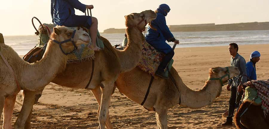 Essaouira: 2-Hour Camel Ride - Timing and What a 2-Hour Camel Ride Actually Means