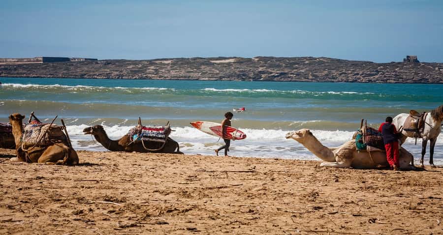 Essaouira: 2-Hour Camel Ride - Why This Essaouira Camel Ride Feels Different From The Usual Beach Tour