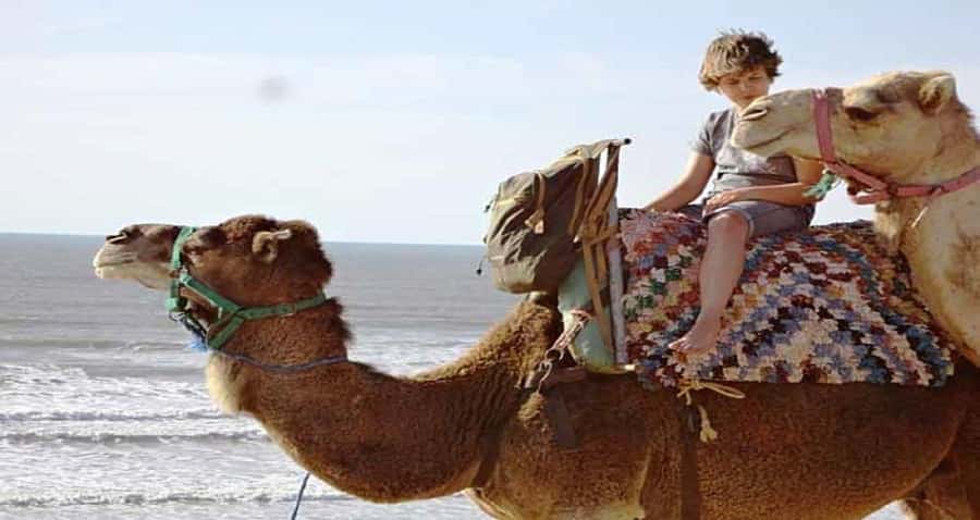 Essaouira: 2-Hour Camel Ride - The Ride Begins Where The Sea Meets The Sand