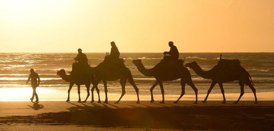 Essaouira: 2-Hour Camel Ride - Dunes: The Part That Turns a Ride Into Real Adventure