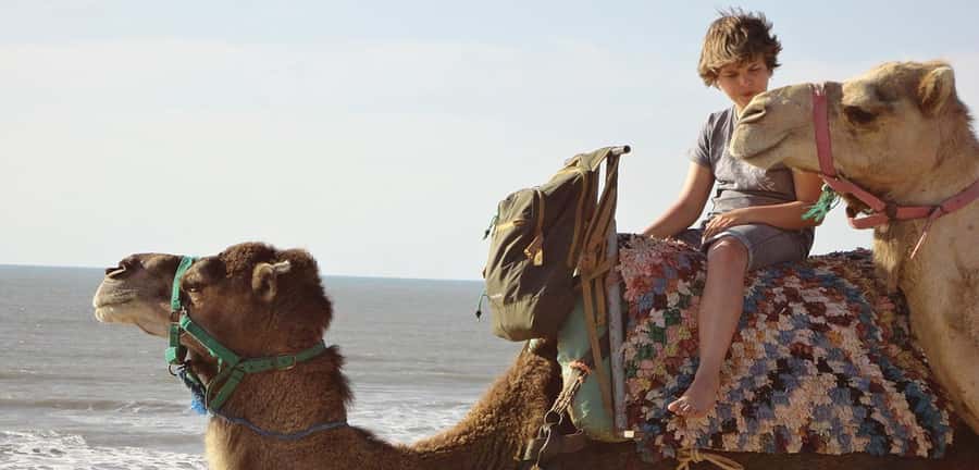 Essaouira: 2-Hour Camel Ride - Forest Edges, Shady Stops, And A Quieter Side of Essaouira
