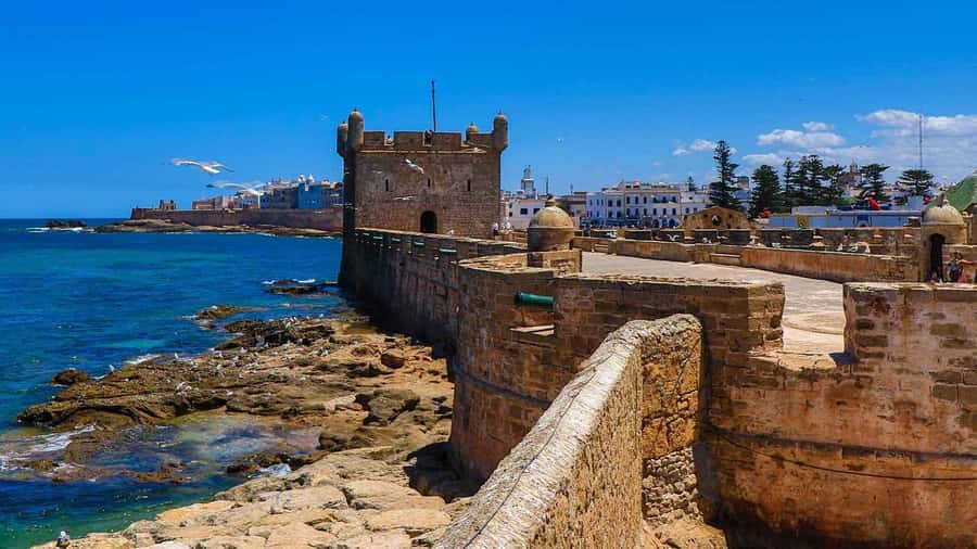 Essaouira: 2-Hour Camel Ride - Photo Help Happens More Than You Think