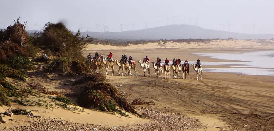 Essaouira: 2-Hour Camel Ride - Hotel Pickup, Price, and Value: Is $47 Worth It?