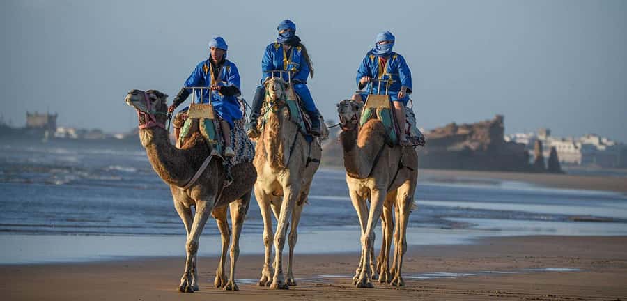 Essaouira: 2-Hour Camel Ride - Meet Your Guide, Then Get Pulled Into Moroccan Rhythm
