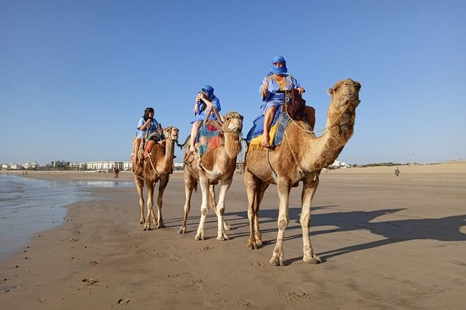 Essaouira: 2H camel/pick up and drop off including - Riding Camels in Essaouira Without Making It Complicated