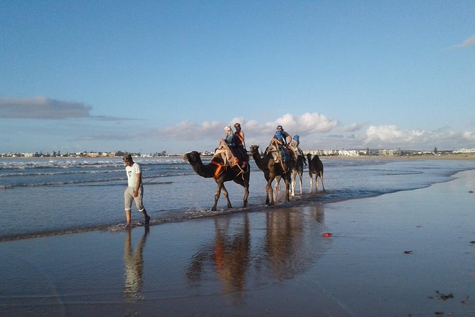 Essaouira: 2H camel/pick up and drop off including - The 2-Hour Flow: Pickup, Camel Time, Then Sunset