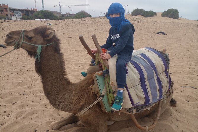 Essaouira: 2H camel/pick up and drop off including - What the Route Looks Like, and One Honest Potential Downside