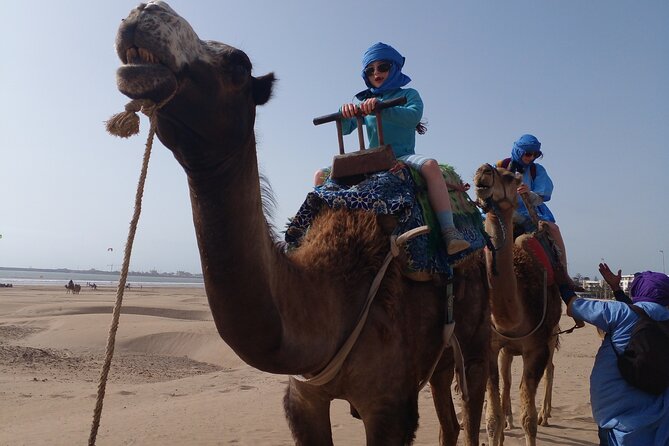 Essaouira: 2H camel/pick up and drop off including - Value for Money: Is $45.36 Worth It?