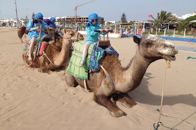 Essaouira: 2H camel/pick up and drop off including - Who This Camel Ride Best Fits
