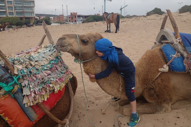 Essaouira: 2H camel/pick up and drop off including - Practical Tips to Make Your Ride Smoother