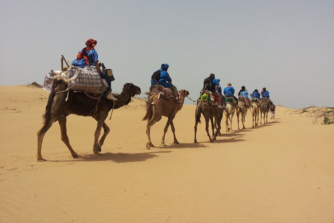 Essaouira: 3-Hour Camel Tour - Key things I’d zoom in on