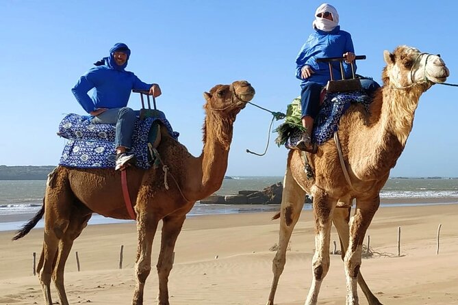 Essaouira: 3-Hour Camel Tour - The Jimmy Hendrikx Cafe Stop, a Small Break With Big Payoff
