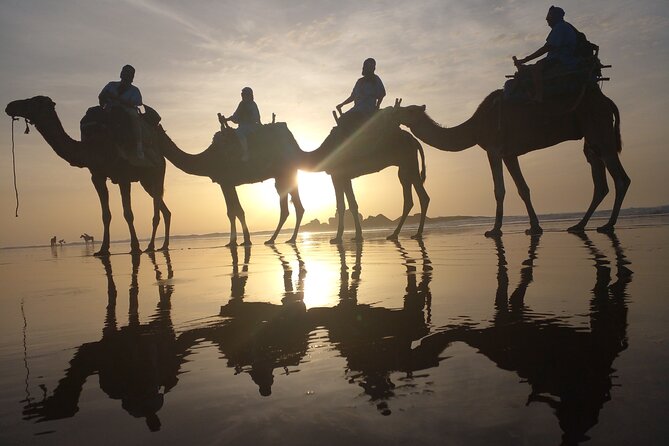 Essaouira: 3-Hour Camel Tour - Price and Value: What You’re Paying for at $56.91