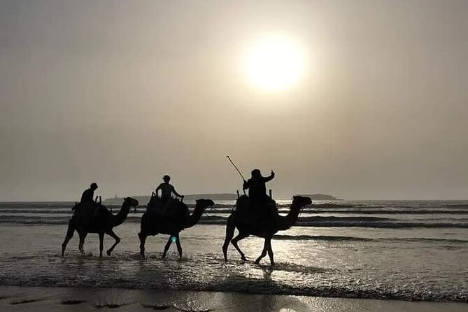 Essaouira: 3-Hour Camel Tour - Who This Camel Tour Fits Best