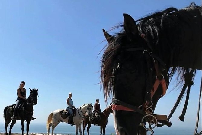 Essaouira Activities: Discover Essaouira by Quad - Guide vibe and safety, what makes this feel smooth