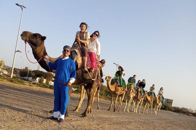 Essaouira Activities: Discover Essaouira by Quad - Who this tour is for, and who might want a different plan