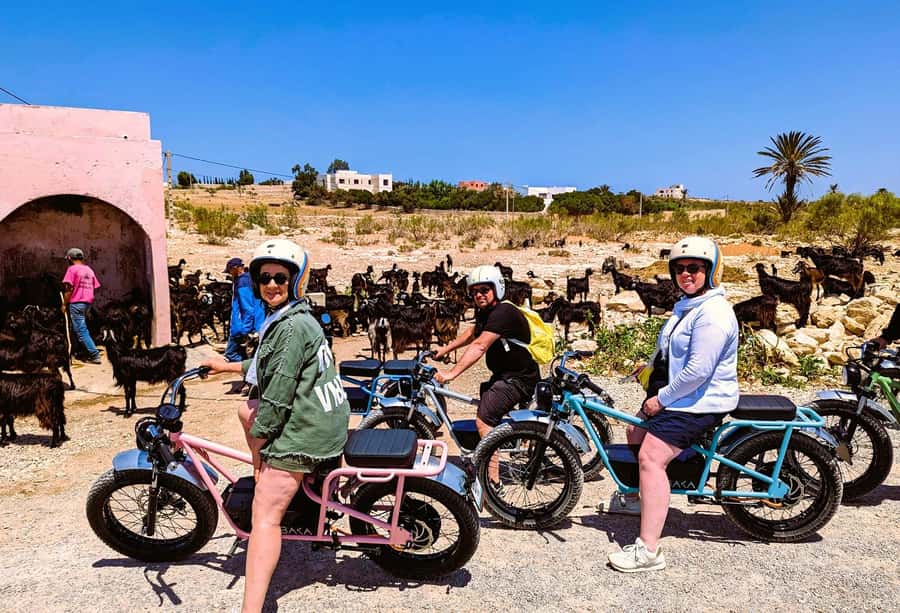 Essaouira: Area Highlights Guided E-Bike Tour - Back down toward town by the river, with medina views on the return