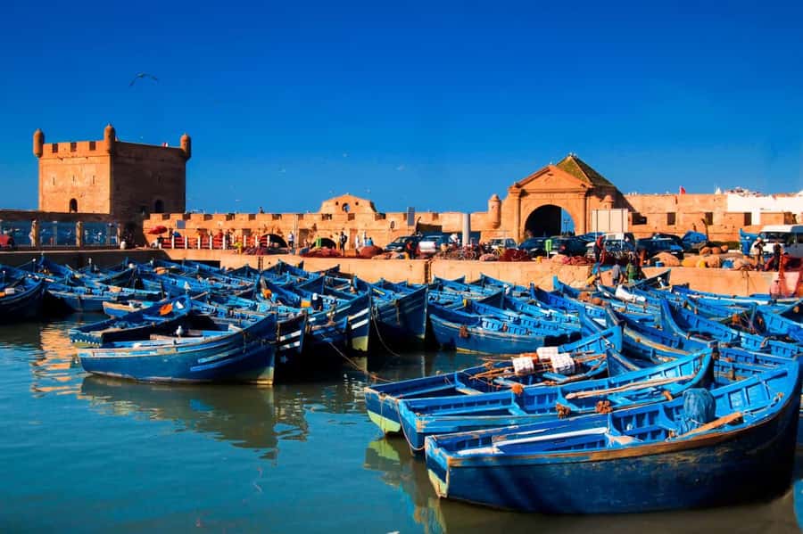 Essaouira Atlantic coast Day trip from marrakech - Price and Value: Is $22 a Good Deal for This Day Trip?