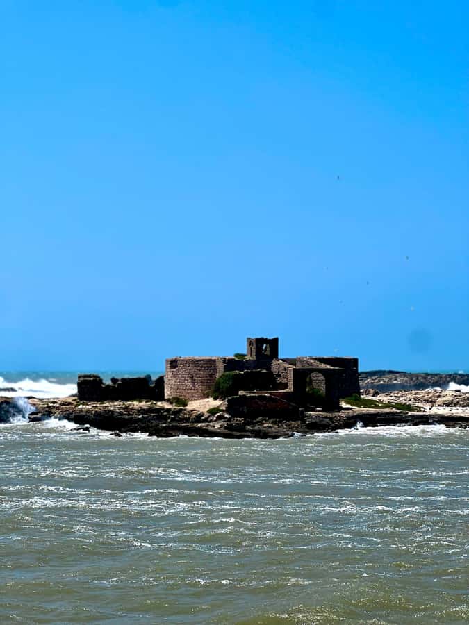 Essaouira City day Trip from Marrakech - Women-Run Argan Oil Cooperative: Why This Stop Matters