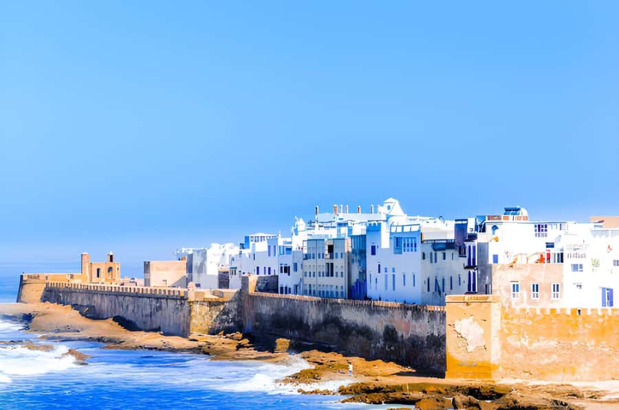 Essaouira Day Trip from Agadir - Argan Oil Factory Visit, the Process You Can See