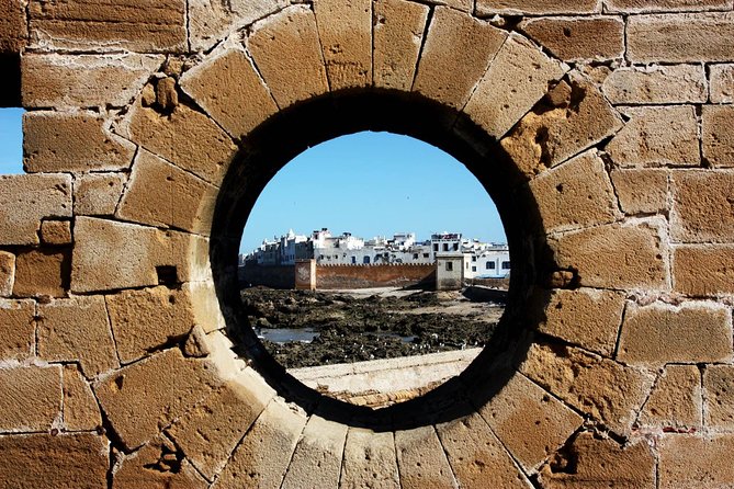Essaouira day trip from Agadir & Taghazout - Tamri Wild Beach, Banana Farm, and the Argan Grove Goat Photos