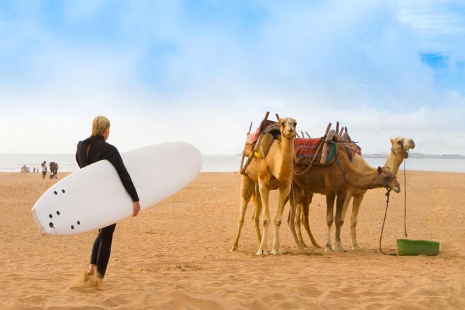 Essaouira day trip from Marrakech - Key highlights to watch for