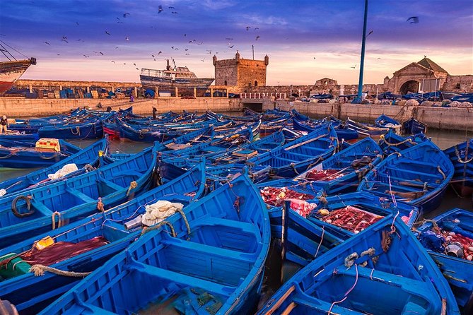 Essaouira day trip from Marrakech - Essaouira on your own time, from Moulay El Hassan square to the port