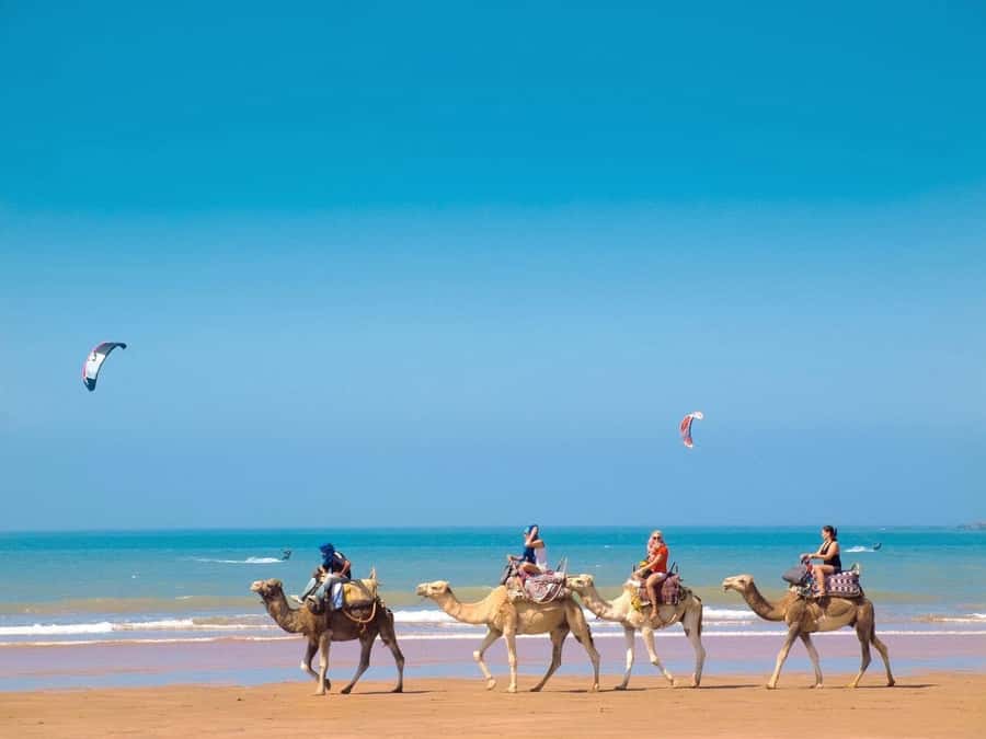Essaouira Day Trip from Marrakech _ medina, old port - Argan Oil Cooperative Visit: Learning, Shopping, and Supporting Women