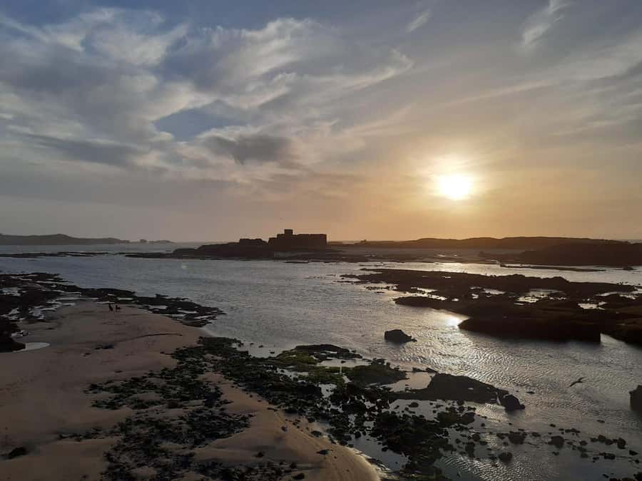 Essaouira Day Trip from Marrakech _ medina, old port - Value for $14: What You Get, What Costs Extra