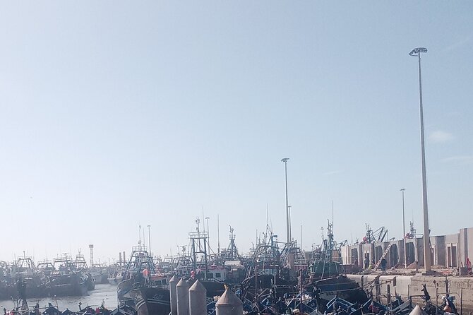 Essaouira day trip shared group - Getting there: pickup, minibus comfort, and what the schedule really means