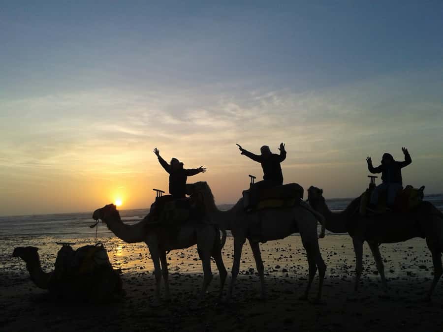 Essaouira: One Hour Dromedary Ride - The one-hour dromedary route: dunes, beach, Mogador island, and return through thuya