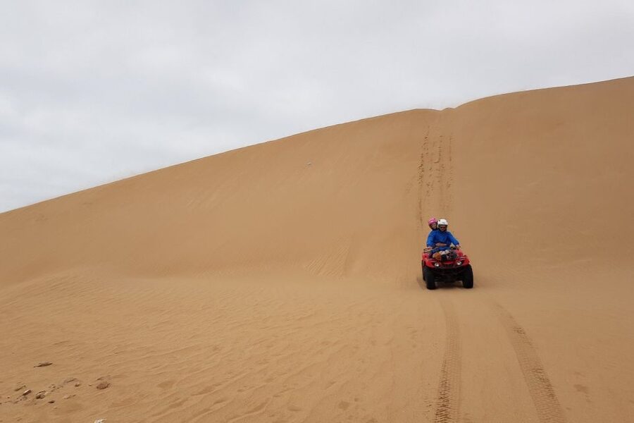Essaouira P3: Quad tour forest beach dunes (free transfer) - What the quad bike and weather mean for your comfort