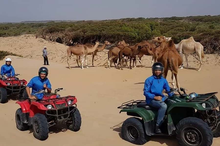Essaouira P3: Quad tour forest beach dunes (free transfer) - Price and value for $37 with pickup, guide, quad, and water