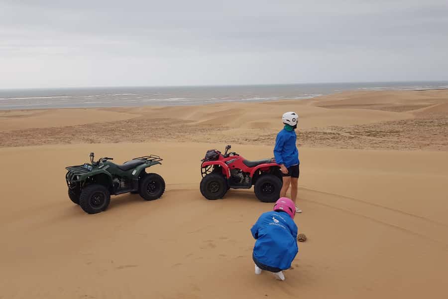 Essaouira P3: Quad tour forest beach dunes (free transfer) - Photo moments near Dar Sultan Palace and Bourj El Baroud