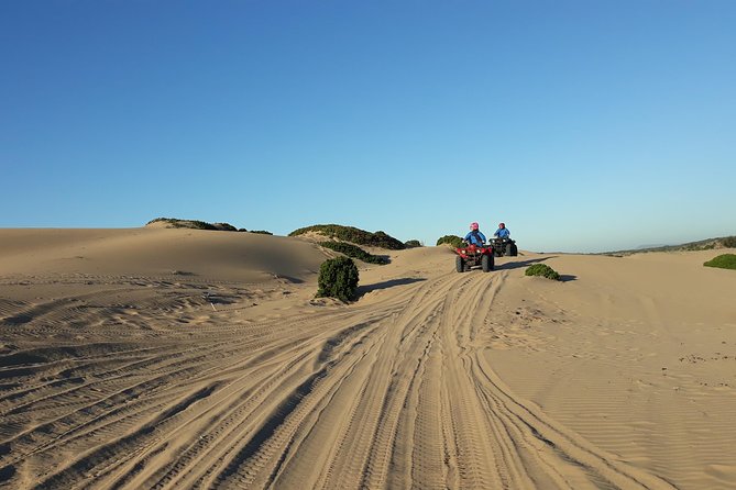 Essaouira: Pleasant Quad tour (free transfer) - Quads for singles and doubles: choosing your comfort level