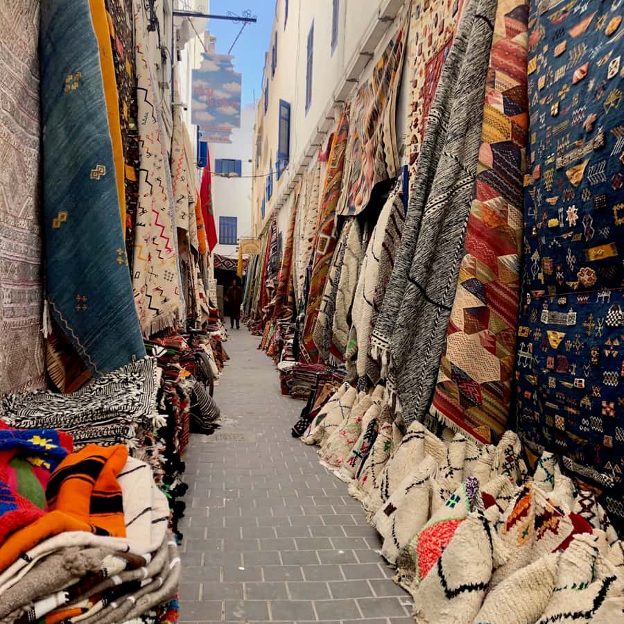 Essaouira: Private City Tour - Meeting at Hotel des Iles, then Getting Your Bearings Fast
