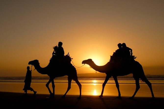 Essaouira Private Full Day Trip From Marrakech - Price and value: what you really pay for