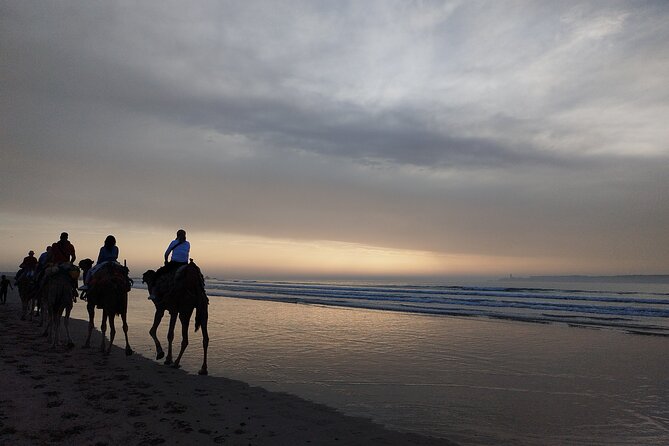 Essaouira Private Full Day Trip From Marrakech - Beach and free time: make the most of the coast window