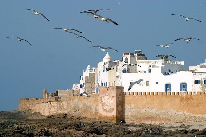 Essaouira Private Full Day Trip From Marrakech - Argan oil co-op and road stops: cultural value vs time tax