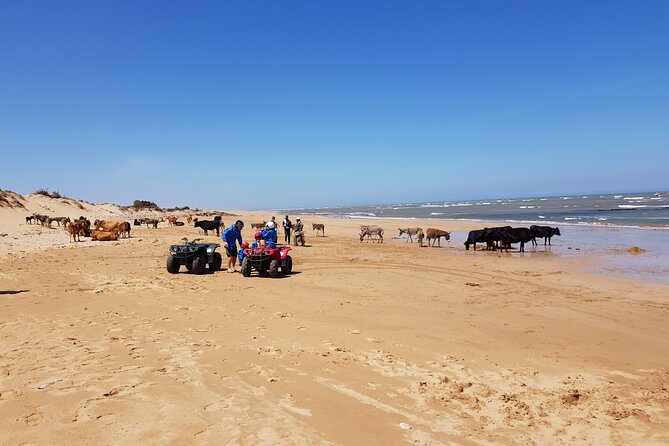 Essaouira: Quad ride / family & friends (free transfer) - Diabat village: the ride becomes part sightseeing