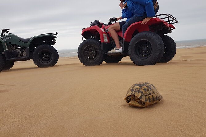 Essaouira: Quad ride / family & friends (free transfer) - Cap Sim beaches: riding the coast, with a scenic payoff
